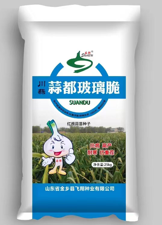 大蒜种子批发市场