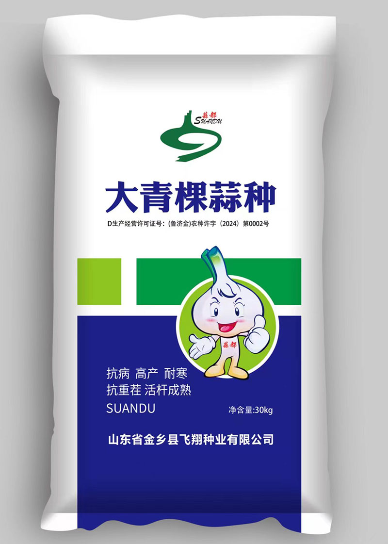 大蒜种子