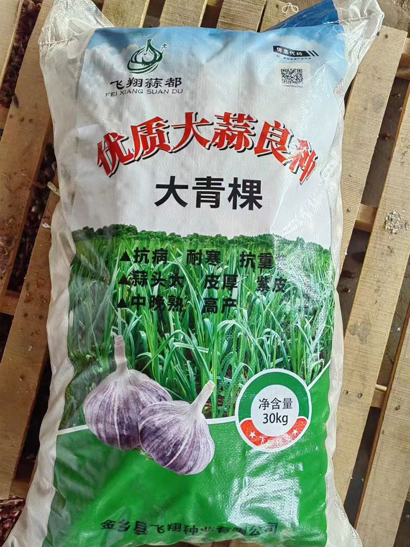 山东大蒜厂家