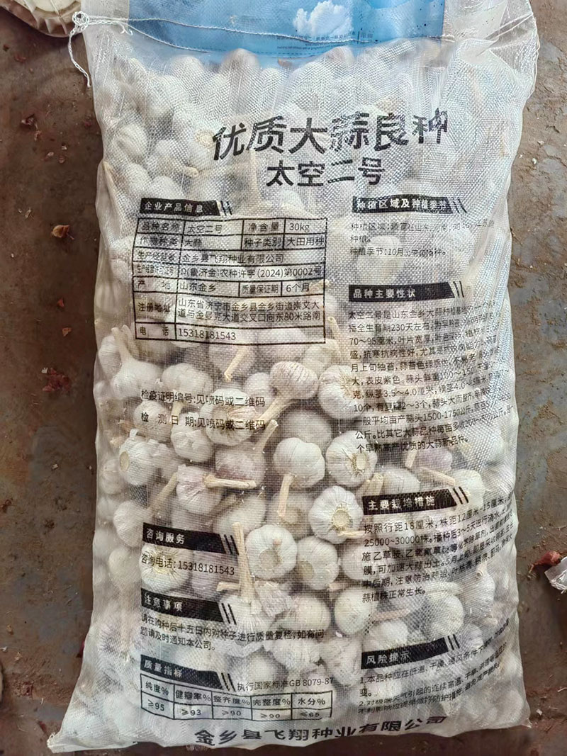 金乡大蒜